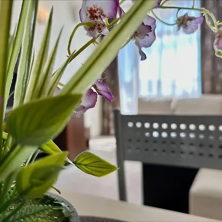 Grenada - Menada Apart-hotel